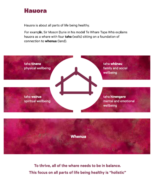 Understanding Hauora